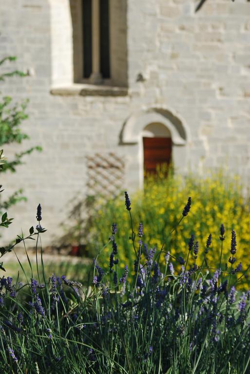 B&B San Paterniano Cingoli Exterior foto